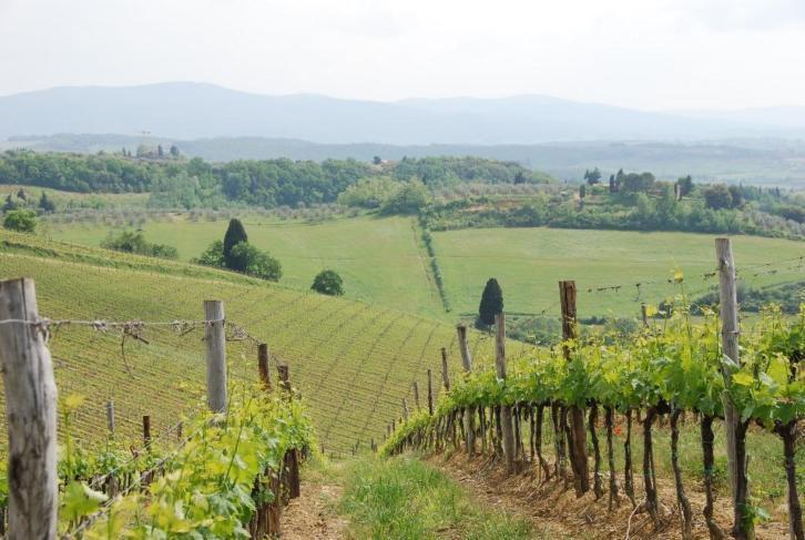 Готель Brevar - Toscane Торре-дель-Лаго-Пуччіні Екстер'єр фото